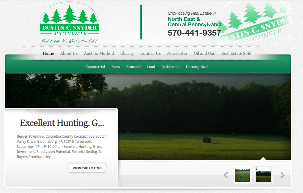 dustinsnyderauctioneer.com - Web Design
